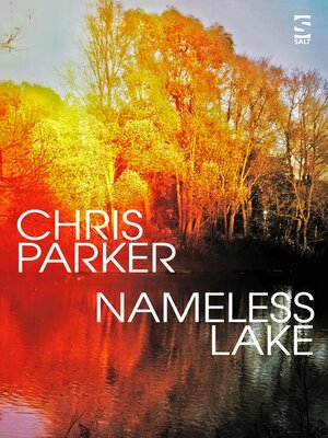 cover image of Nameless Lake